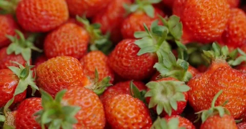 Red strawberries Stock Footage 132369509