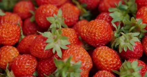 Red strawberries Video stock 132369544