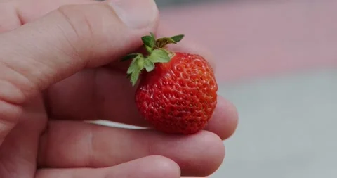 Red strawberries Stock Footage 132369899