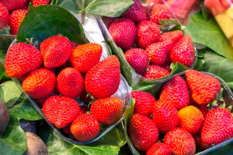 Red strawberries Stock Photos