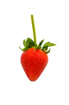Red strawberries Stock Photos