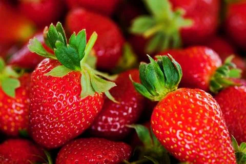 Red strawberries Stock Photos