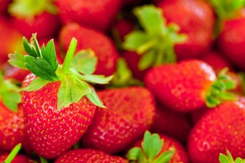 Red strawberries Stock Photos