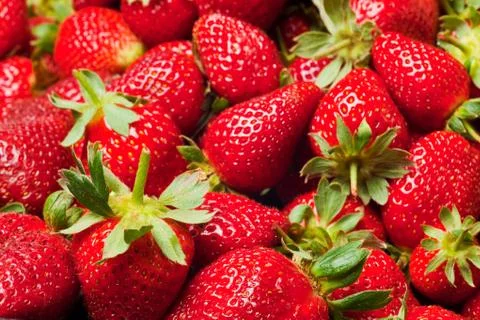 Red strawberries Stock Photos