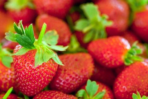 Red strawberries Stock Photos
