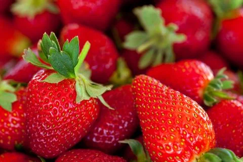 Red strawberries Stock Photos
