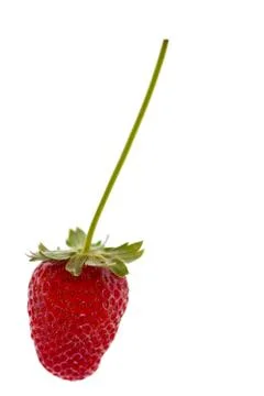 Red strawberries Foto stock