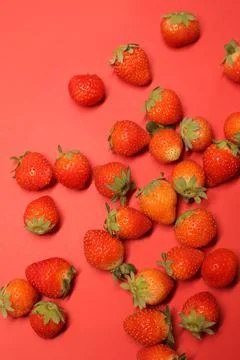 Red strawberries Stock Photos