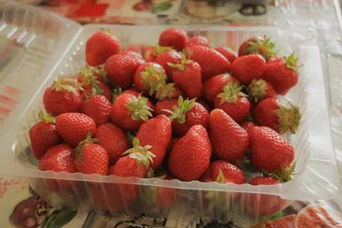 Red strawberries in the plastic container Stock Photos