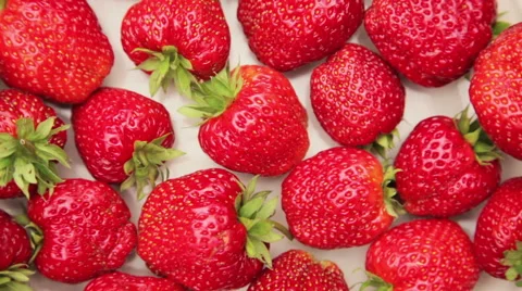 Red strawberries on white background Stock Footage 67677649