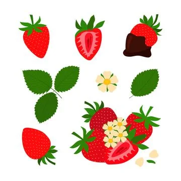 Red strawberry and half a strawberry. Set flower, petal, chocolate strawberry. Stock Illustration