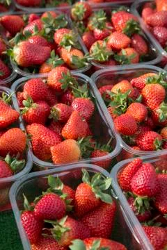 Red Strawberry Background Stock Photos