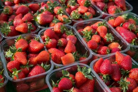 Red Strawberry Background Foto stock