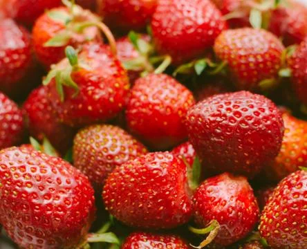Red Strawberry Background Stock Photos