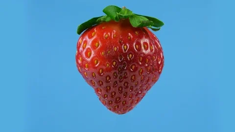 Red strawberry on the blue background, looped rotation, ready for keying Vídeos de archivo 86547018