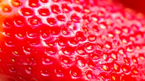 Red strawberry Stock Footage 48733076