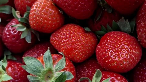 Red strawberry Stock Footage 341676652