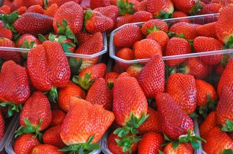 Red Strawberry fruit Stock-Fotos