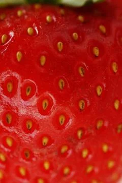 Red strawberry Stock Photos