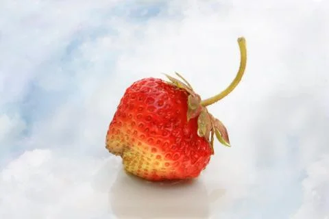 Red Strawberry Stock Photos