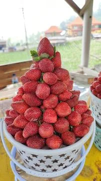 Red Strawberry Stock Photos