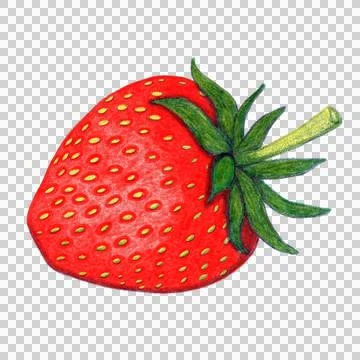 Red strawberry risography retro illustration Stock Illustration