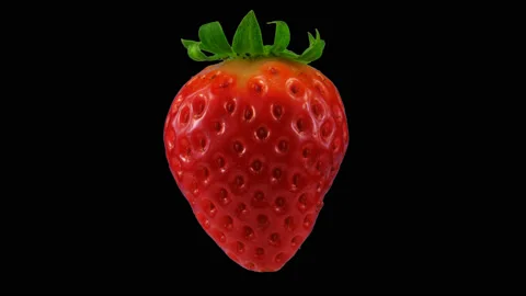Red strawberry with transparent background or alpha channel, looped rotation Stock Footage 86549903