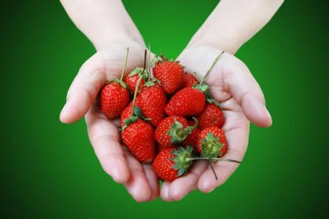 Red strawberry in two hand Stock Photos