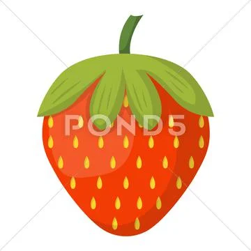 Red strawberry vector illustration Stock Illustration