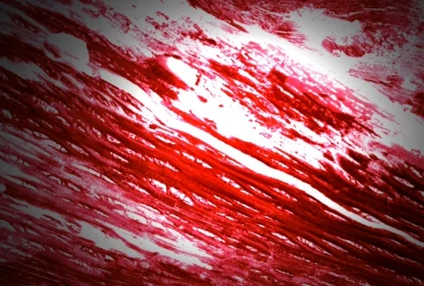 Red Streak 库存影片 102914