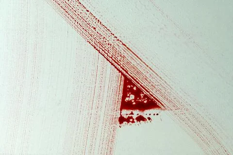 Red streak pattern on a white surface, resembling a scientific bacterial in.. 스톡 사진