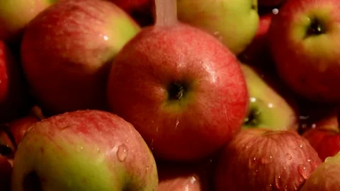 Red-striped apples is washed Vídeo Stock 328642631