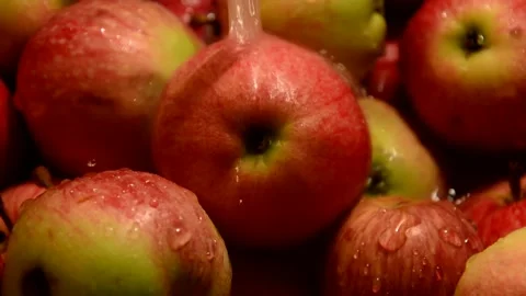 Red-striped apples is washed Stock Footage 328642655