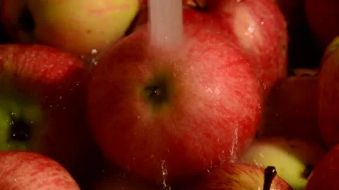 Red-striped apples is washed Stock Footage 328643581