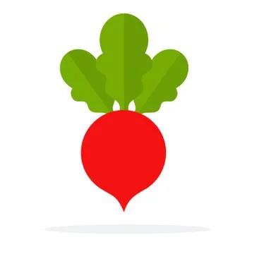 Red Sugar beet 스톡 일러스트