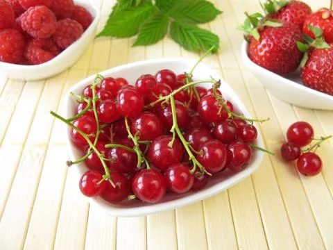Red summer berries Stock Photos