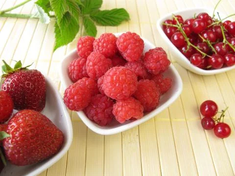 Red summer berries Stock Photos