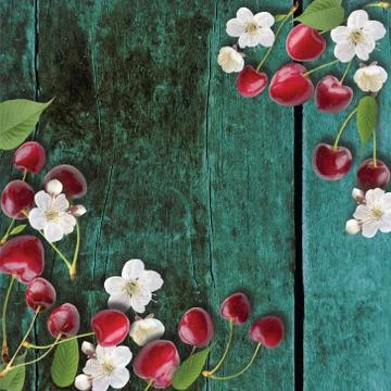 Red summer cherry berries, cherry blossom and leaves Stock Photos