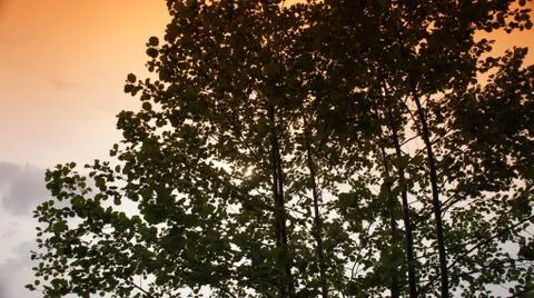 Red Sun with Cloud Fotos de archivo