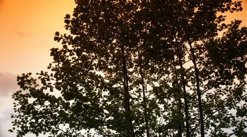 Red Sun with Cloud Fotos de archivo