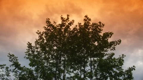 Red Sun with Cloud Foto stock