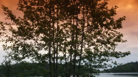 Red Sun with Cloud Stock Photos