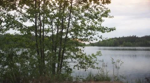 Red Sun with Cloud Stock-Fotos