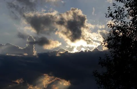The red sun disappeared behind the clouds against the background of a tree Stock Photos
