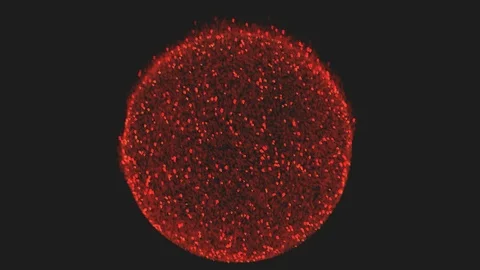 Red Sun Particles on Black Background (Looping) Video stock 122595871