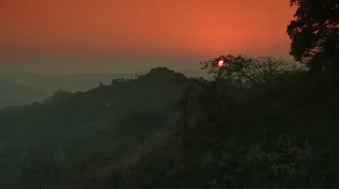 Red sun sets behind a tree 스톡 동영상 12230156