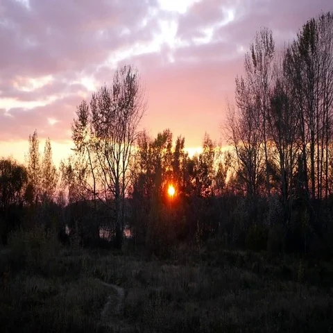 Red sun at sunset Stock Footage 69540782