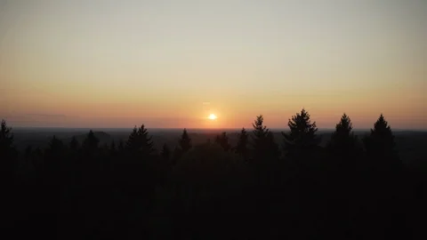 Red sun at sunset over trees silhouette Stock Footage 104076465