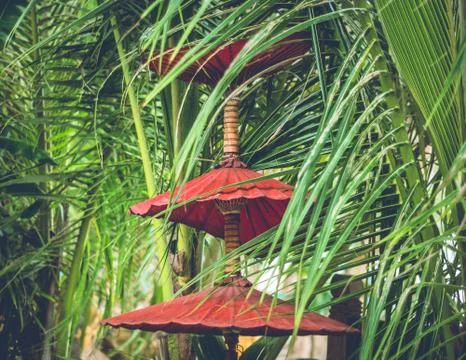 Red Sun Umbrellas Stock Photos