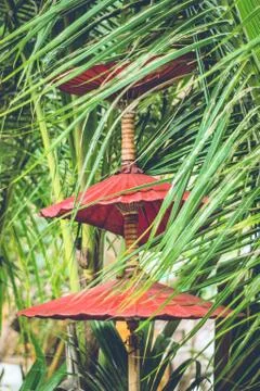 Red Sun Umbrellas Stock Photos